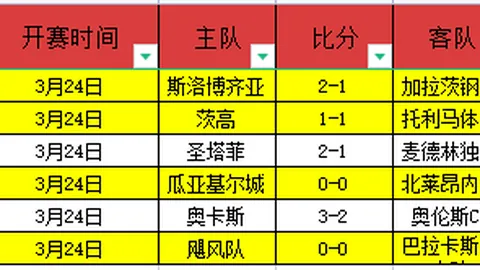 下半场雨战：米兰客场对阵维罗纳半场休雨中
